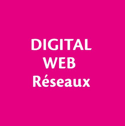 Digital Web Réseaux